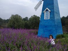 -铁山坪森林公园