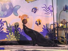 -太平洋海底世界