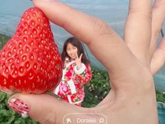 -阿林有机农庄