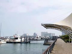 -日照世帆赛基地