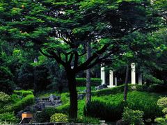 -九龙寨城公园