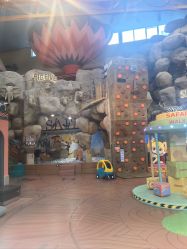 -卡通尼·Safari非洲探索乐园·生日会(金桥国际商业广场店)