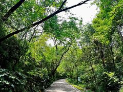 -嵖岈山风景区