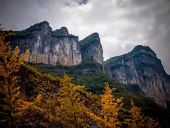 -武陵山森林公园