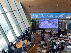 -抱抱地球咖啡馆(国家海洋博物馆店)