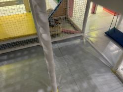 -雅乐达儿童乐园(海韵广场店)