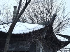 -四明山国家森林公园