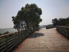 -江滩湿地公园