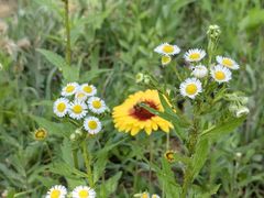 -西部长青自然儿童乐园