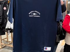 -西安唐皇城墙含光门遗址博物馆