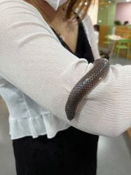 -Moni星球萌宠·小马宝莉·灵蛇·高端高阶全萌宠互动体验俱乐部(红豆国际广场店)