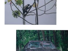 -昆明市博物馆(昆明市文物保护和考古研究中心)