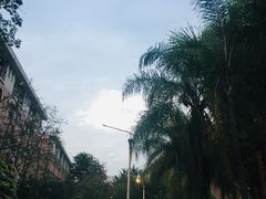 -广东外语外贸大学(白云山校区)