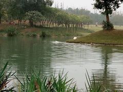 -两河城市森林公园