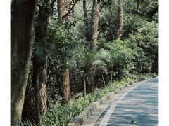 -白云山风景名胜区