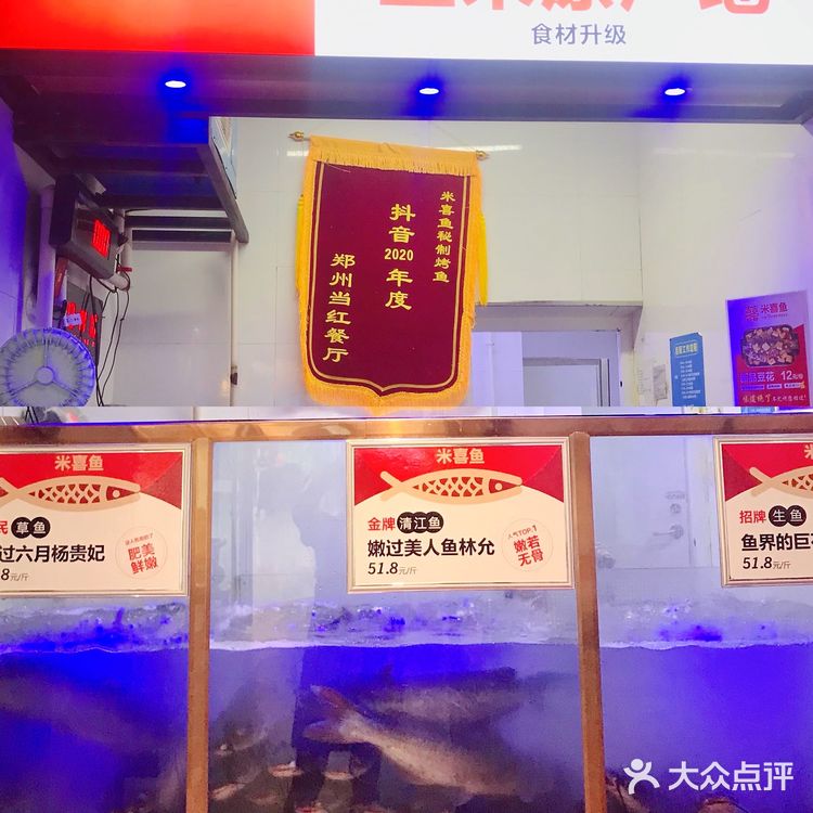 Last dance｜米喜鱼，烤鱼界的顶呱呱选手！