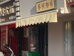 -椿树咖啡
