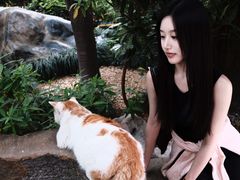 -龙华素斋(龙华路店)