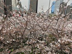 -陆家嘴空中步行连廊