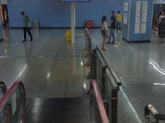 -大龙山(地铁站)