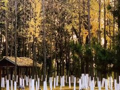 -艾溪湖湿地公园