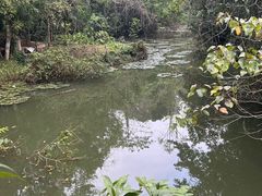 -中国科学院西双版纳热带植物园