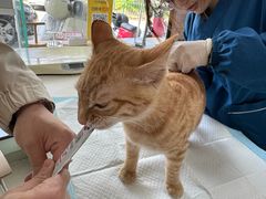 -美美宠物诊疗中心·异宠·骨科(滨江东信分院)