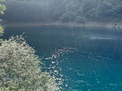 -叠溪松坪沟景区