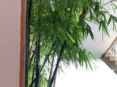 -南普陀素菜馆
