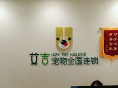 -艾吉宠物医院·疑难杂症转诊中心·猫友好(碧江路院)
