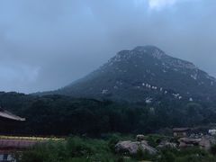 -禅宗少林·音乐大典