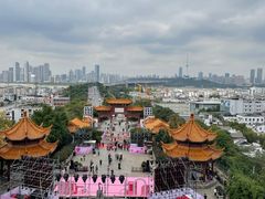 -黄鹤楼公园(黄鹤楼)