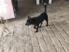 -尚果生态采摘园