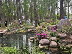 -上海佘山国家森林公园西佘山园