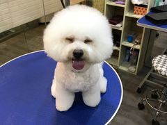 -PETKIT小佩宠物(古北店)