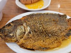 -顺溜·手工刀削面·黑金店(铜锣湾店)