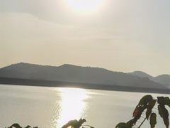 -清溪森林公园