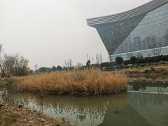 -桂溪生态公园