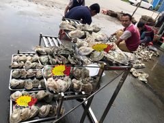 -蚝专家(北滘店)