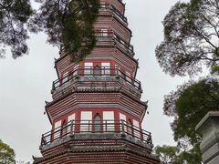 -顺峰山公园