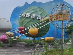 -上海都市菜园