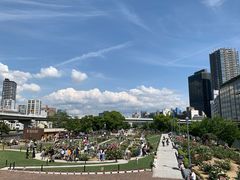 -中之岛公园