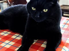 -春风十里咖啡馆