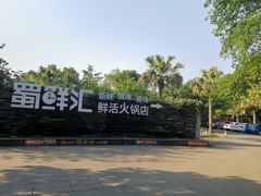 -二荆条·蜀鲜汇城市森林火锅