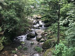 -大围山国家森林公园