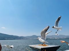 -海埂大坝