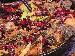 -老板恋上鱼(恒隆广场店)