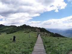 -白草畔自然风景区