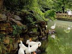 -兰亭风景区
