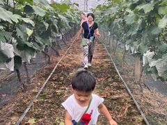 -马陆小张葡萄园农家乐